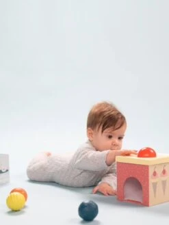 Boîte à Balles - TAF TOYS Beige - Taf Toys -Périphériques Pour Enfants boite a balles taf toys 2