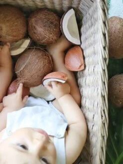 Jouet De Dentition Coco La Noix De Coco - OLI & CAROL Marron - Oli Et Carol -Périphériques Pour Enfants jouet de dentition coco la noix de coco oli carol 5