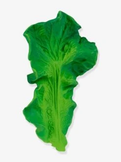 Jouet De Dentition Kendall La Feuille De Chou - OLI & CAROL Vert - Oli Et Carol -Périphériques Pour Enfants jouet de dentition kendall la feuille de chou oli carol 5