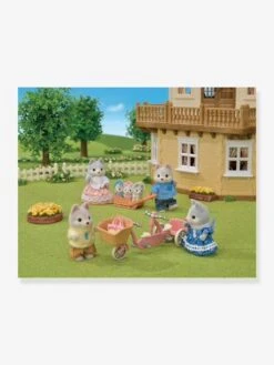 Les Frères Et Sœurs Husky Et Leur Tandem - SYLVANIAN FAMILIES Blanc - Sylvanian -Périphériques Pour Enfants les freres et soeurs husky et leur tandem sylvanian families 2