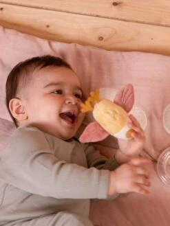 Tapis D'Éveil Oiseau - LITTLE DUTCH Rose Pâle - Little Dutch 11 Tapis D'Éveil Oiseau - LITTLE DUTCH Rose Pâle - Little Dutch -Périphériques Pour Enfants tapis deveil oiseau little dutch 4